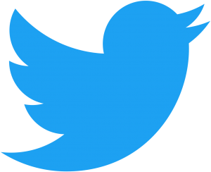 twitter_bird_logo_2012-svg