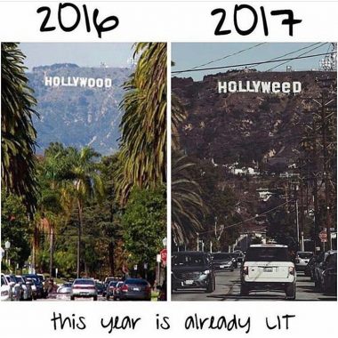 hollymeme